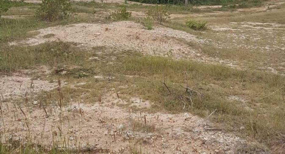 For sale land in Dan Khun Thot, Nakhon Ratchasima