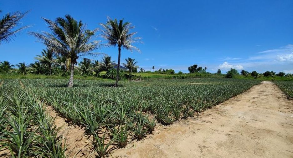 For sale land in Pran Buri, Prachuap Khiri Khan