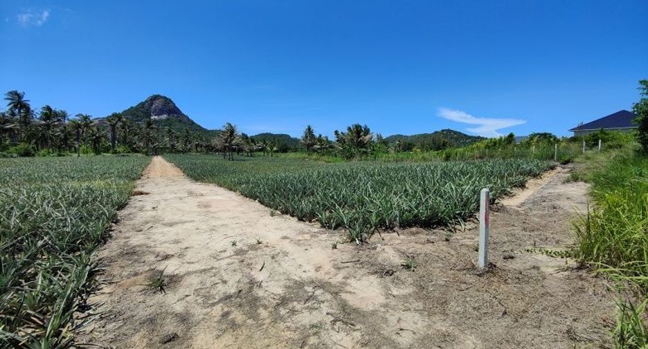For sale land in Pran Buri, Prachuap Khiri Khan
