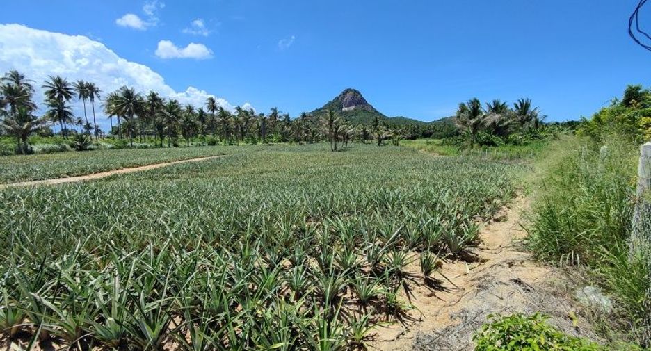 For sale land in Pran Buri, Prachuap Khiri Khan