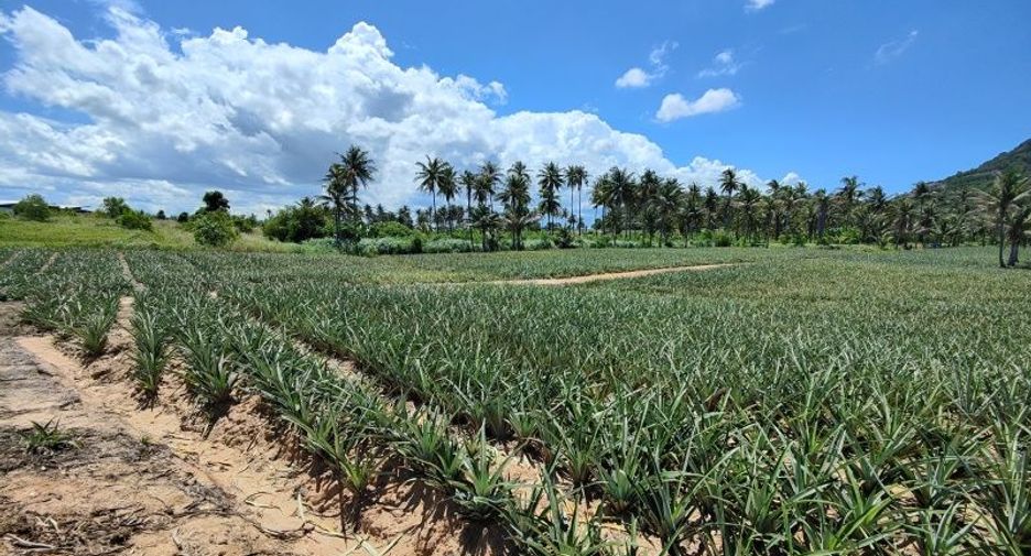 For sale land in Pran Buri, Prachuap Khiri Khan