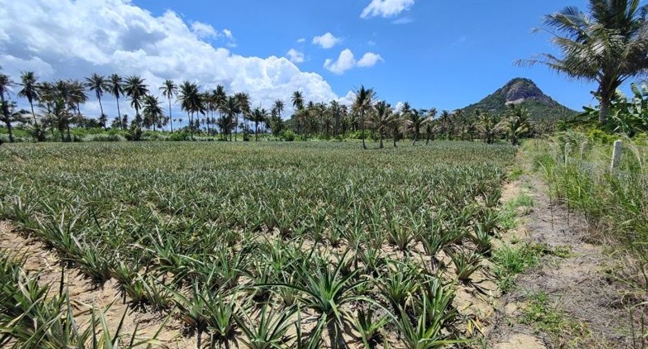For sale land in Pran Buri, Prachuap Khiri Khan