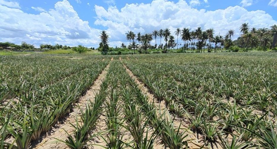 For sale land in Pran Buri, Prachuap Khiri Khan