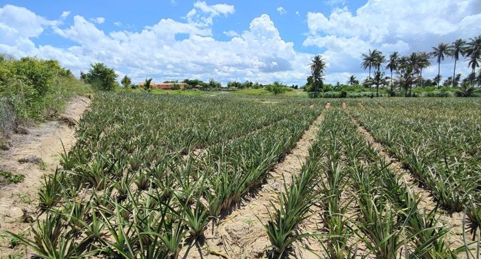 For sale land in Pran Buri, Prachuap Khiri Khan