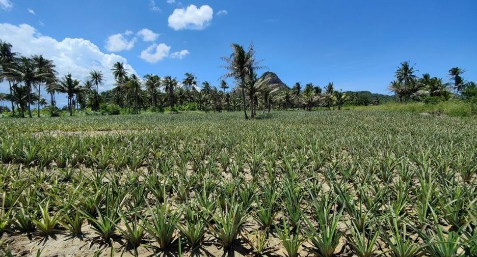 For sale land in Pran Buri, Prachuap Khiri Khan