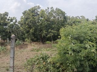 出售 土地 在 Chom Thong, Chiang Mai