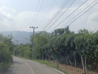 出售 土地 在 Chom Thong, Chiang Mai