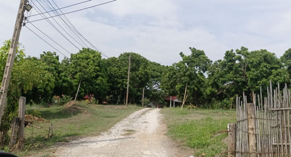 For sale land in Chom Thong, Chiang Mai