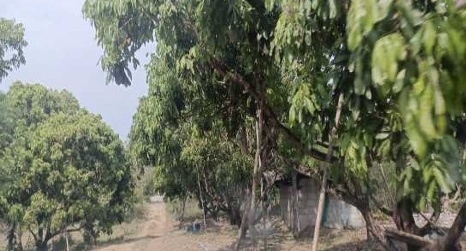 For sale land in Chom Thong, Chiang Mai