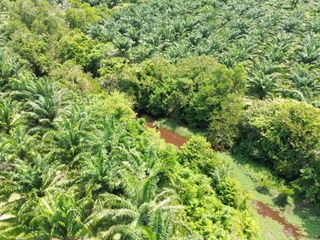 For sale land in Thai Mueang, Phang Nga