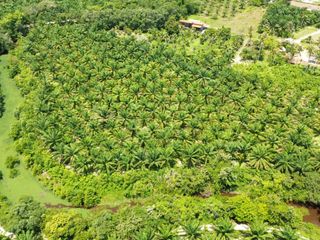 For sale land in Thai Mueang, Phang Nga