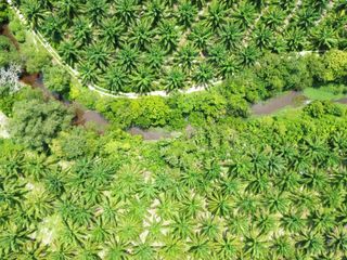 For sale land in Thai Mueang, Phang Nga