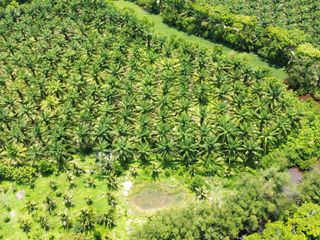 For sale land in Thai Mueang, Phang Nga