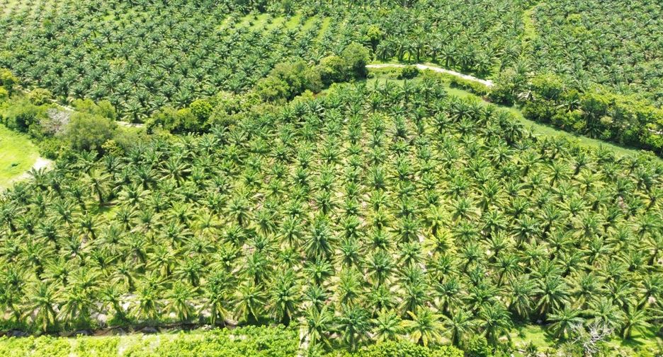 Grundstück zum Kauf in Thai Mueang, Phang Nga
