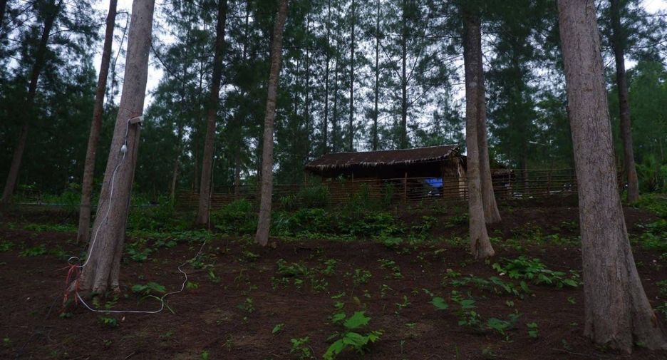 For sale land in Ban Kha, Ratchaburi