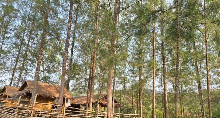 For sale land in Ban Kha, Ratchaburi