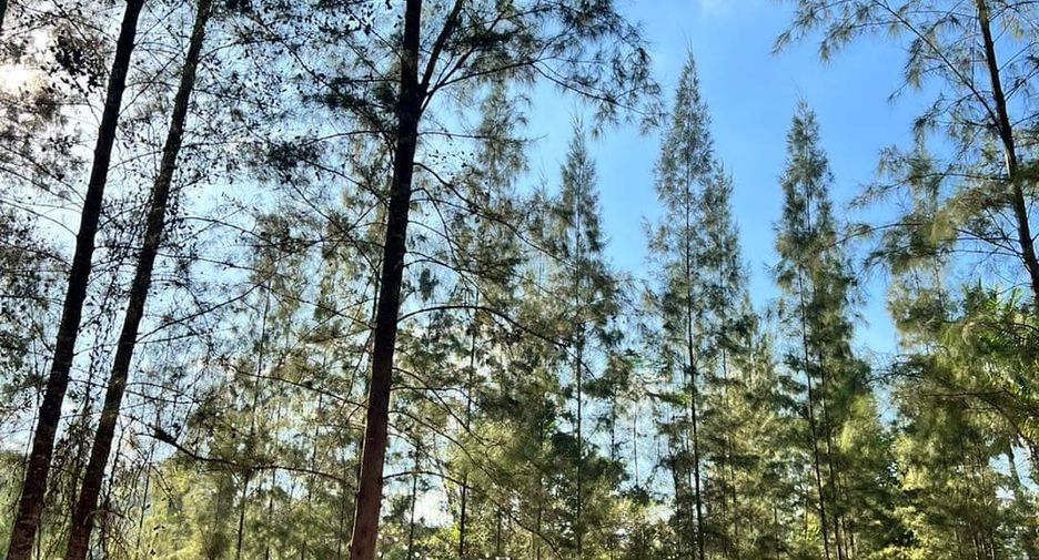 For sale land in Ban Kha, Ratchaburi