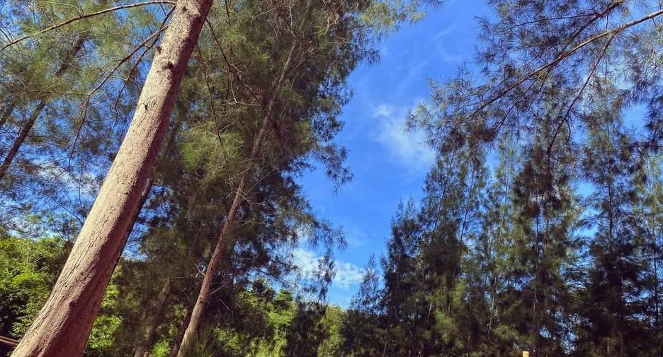 For sale land in Ban Kha, Ratchaburi
