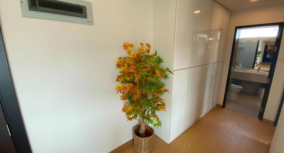 For rent 2 bedrooms apartment in Khlong Toei, Bangkok