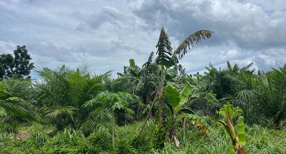 Terreno en venta en Thai Mueang, Phang Nga
