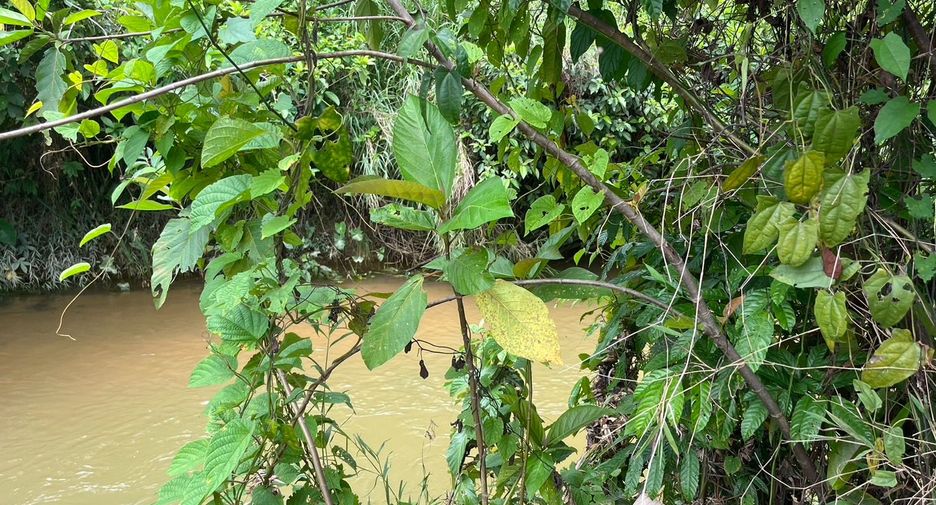 Terreno en venta en Thai Mueang, Phang Nga