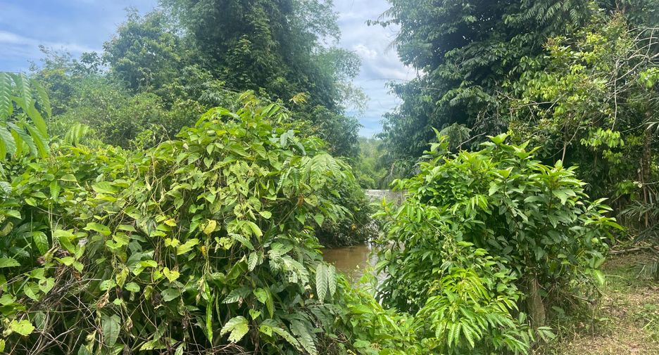 Terreno en venta en Thai Mueang, Phang Nga