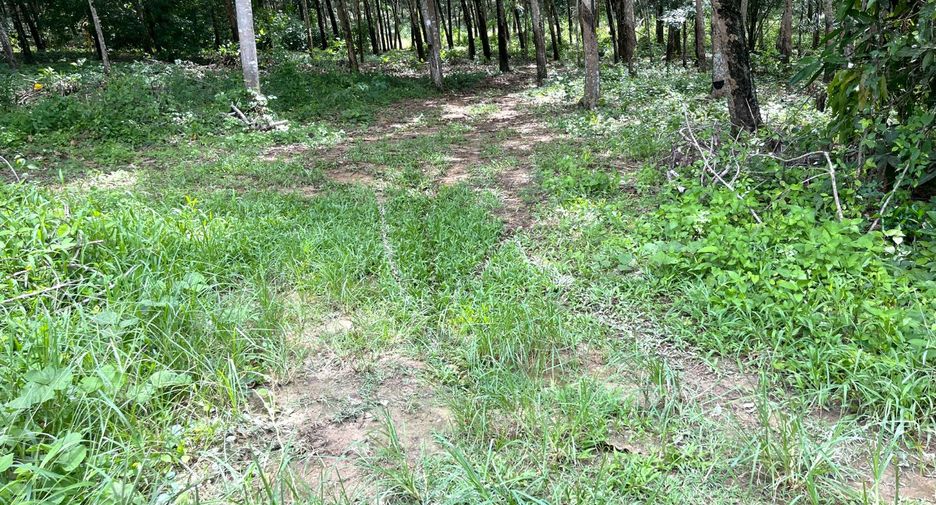 For sale land in Takua Thung, Phang Nga