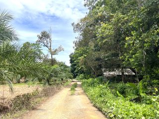 For sale land in Takua Thung, Phang Nga