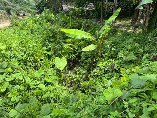 For sale land in Takua Thung, Phang Nga