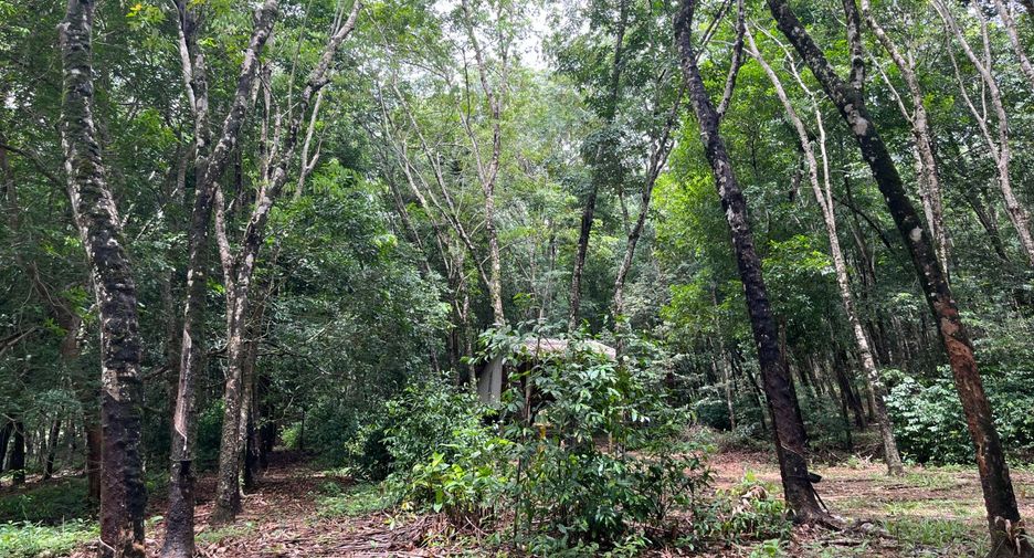 For sale land in Takua Thung, Phang Nga