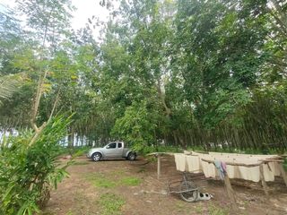 For sale land in Bang Saphan Noi, Prachuap Khiri Khan