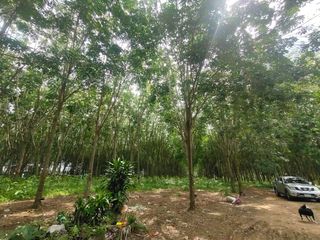 For sale land in Bang Saphan Noi, Prachuap Khiri Khan