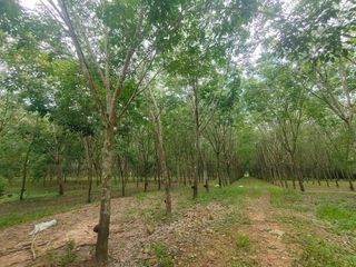 For sale land in Bang Saphan, Prachuap Khiri Khan