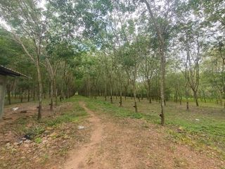 For sale land in Bang Saphan, Prachuap Khiri Khan