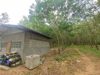 For sale land in Bang Saphan, Prachuap Khiri Khan