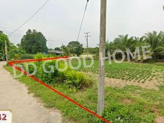 For sale land in Ko Chan, Chonburi