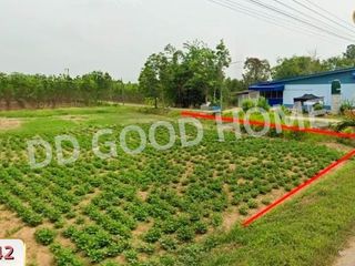 For sale land in Ko Chan, Chonburi
