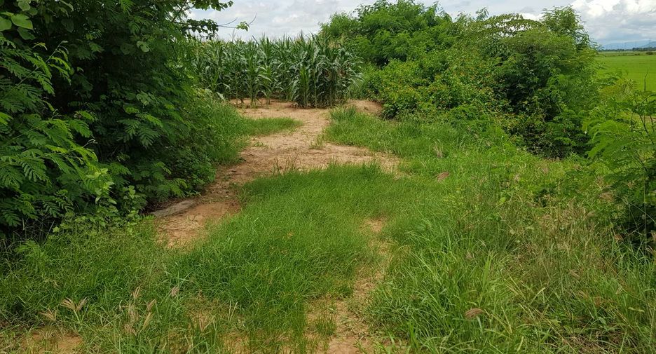 For sale land in Phichai, Uttaradit