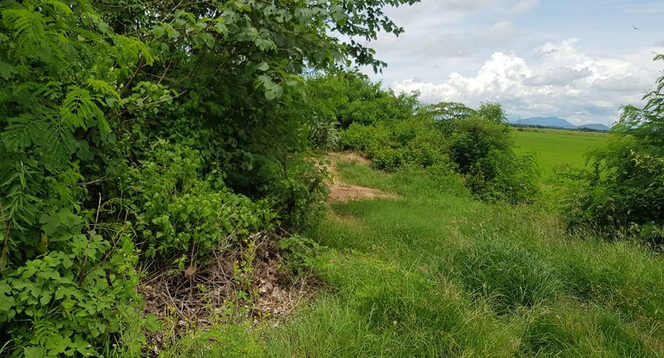 For sale land in Phichai, Uttaradit