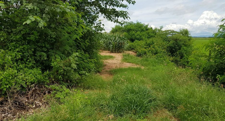 For sale land in Phichai, Uttaradit