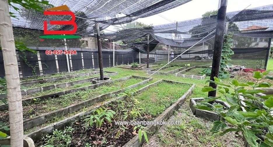 For rent land in Chatuchak, Bangkok