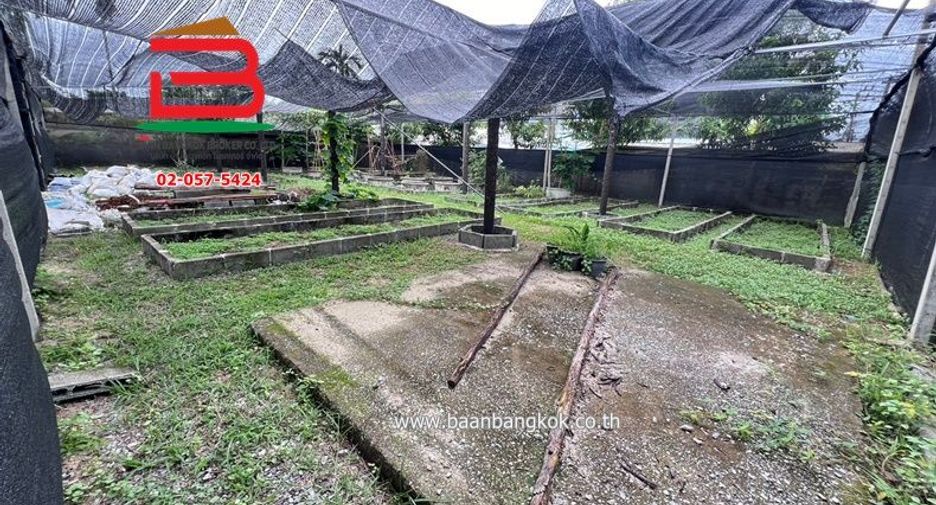 For rent land in Chatuchak, Bangkok