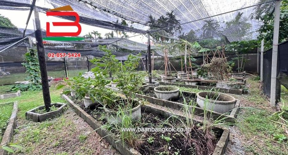 For rent land in Chatuchak, Bangkok