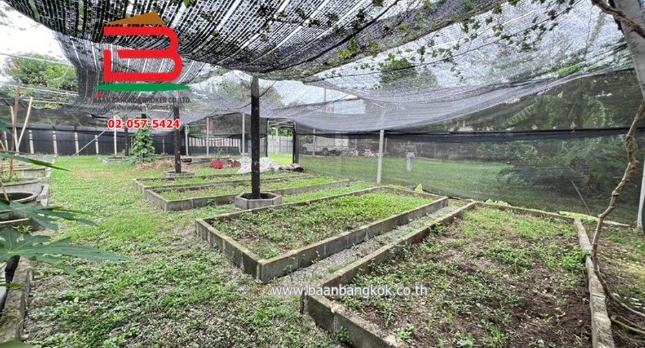 For rent land in Chatuchak, Bangkok