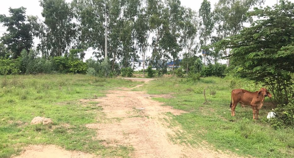 For sale land in Ban Thi, Lamphun
