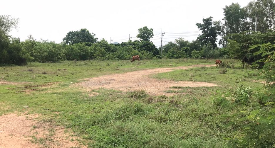 For sale land in Ban Thi, Lamphun