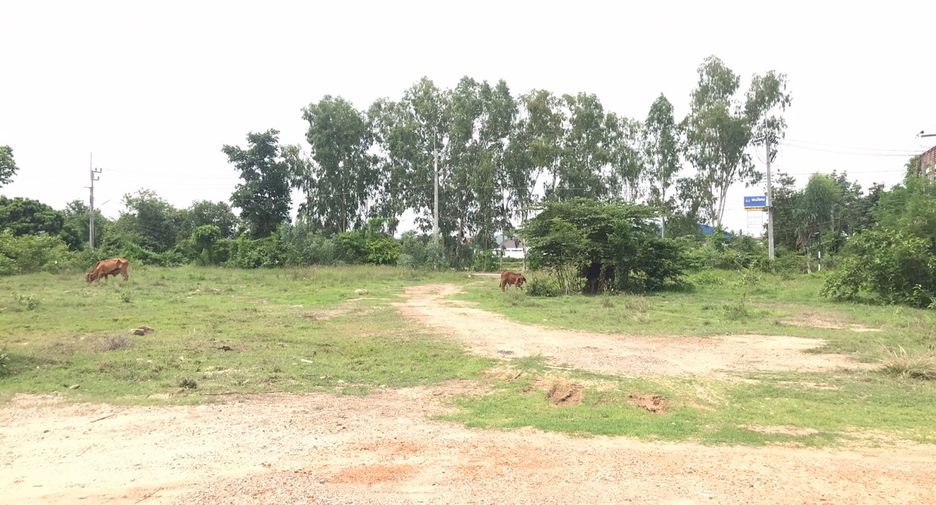 For sale land in Ban Thi, Lamphun