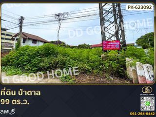 ขาย ที่ดิน ใน เมืองลพบุรี, ลพบุรี