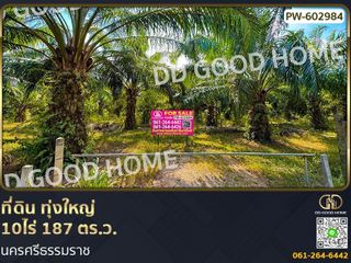 For sale land in Thung Yai, Nakhon Si Thammarat