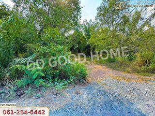 For sale land in Thung Yai, Nakhon Si Thammarat